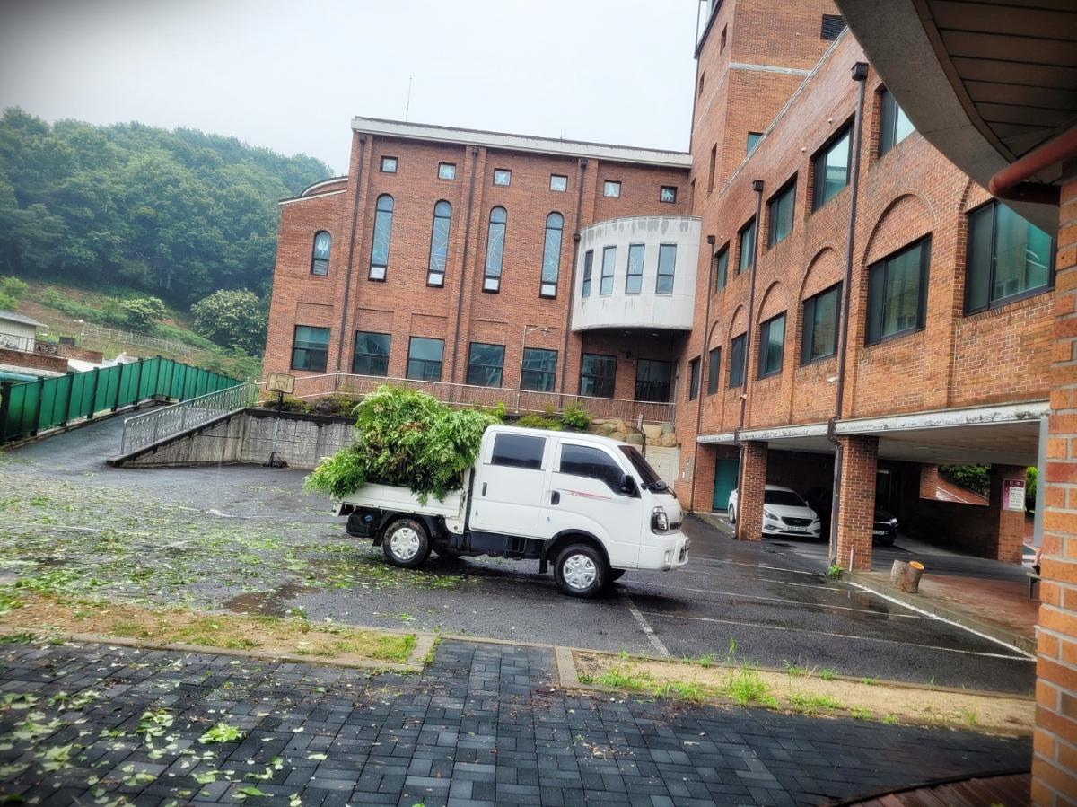 24수목관리5.jpg